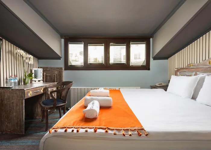 Wonder House Sultanahmet * Istanboel